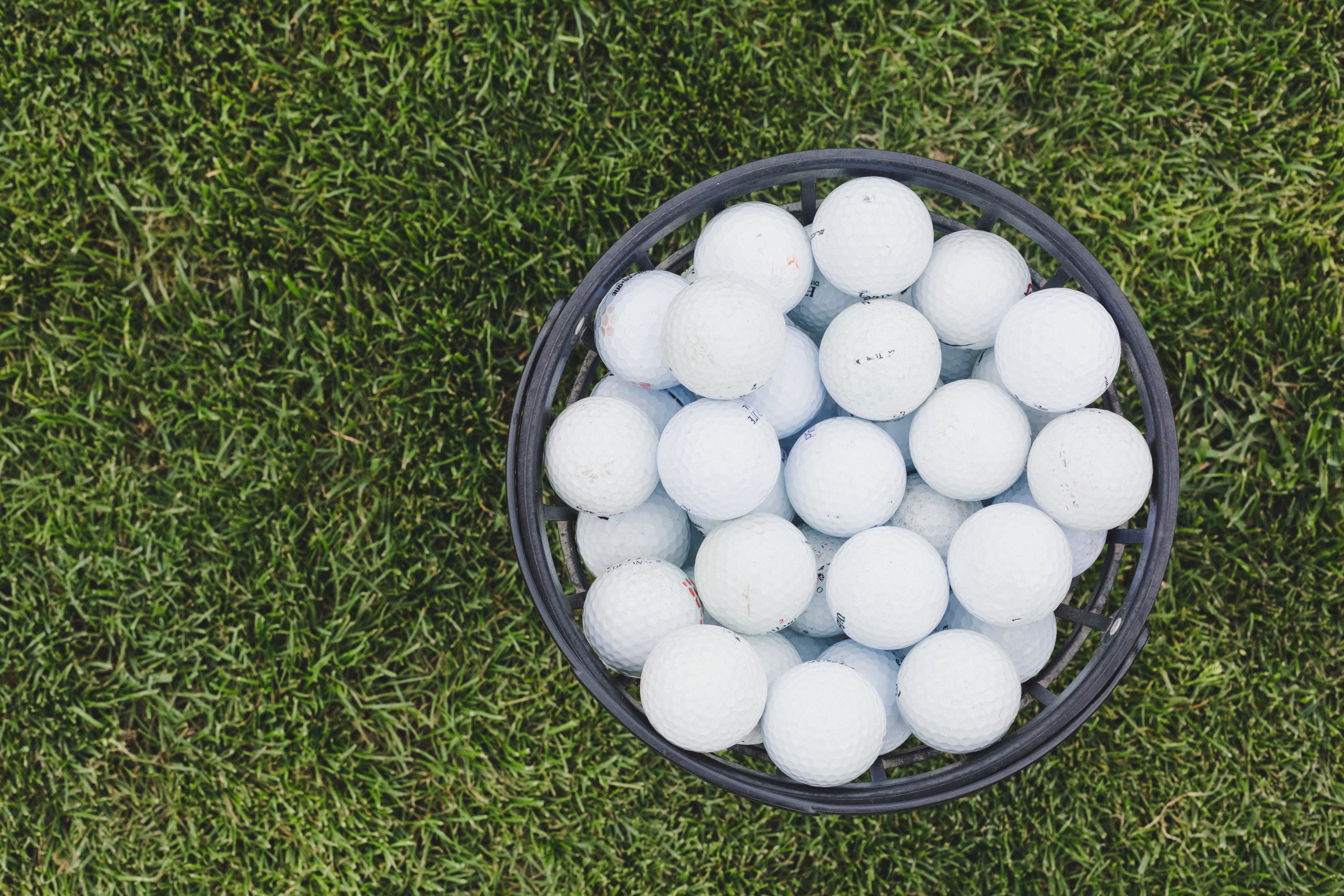 basket of white golf balls on grass